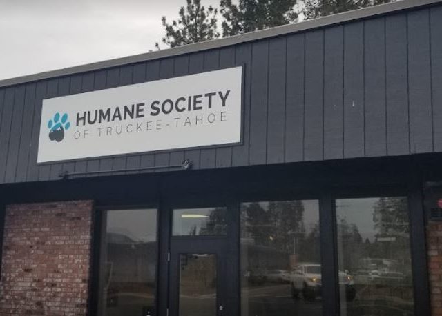 Humane Society of Truckee-Tahoe | South Lake Taho